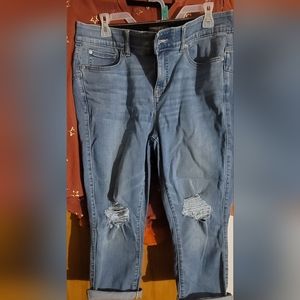 Torrid Crop Bombshell Skinny Premium Stretch High-Rise Jean